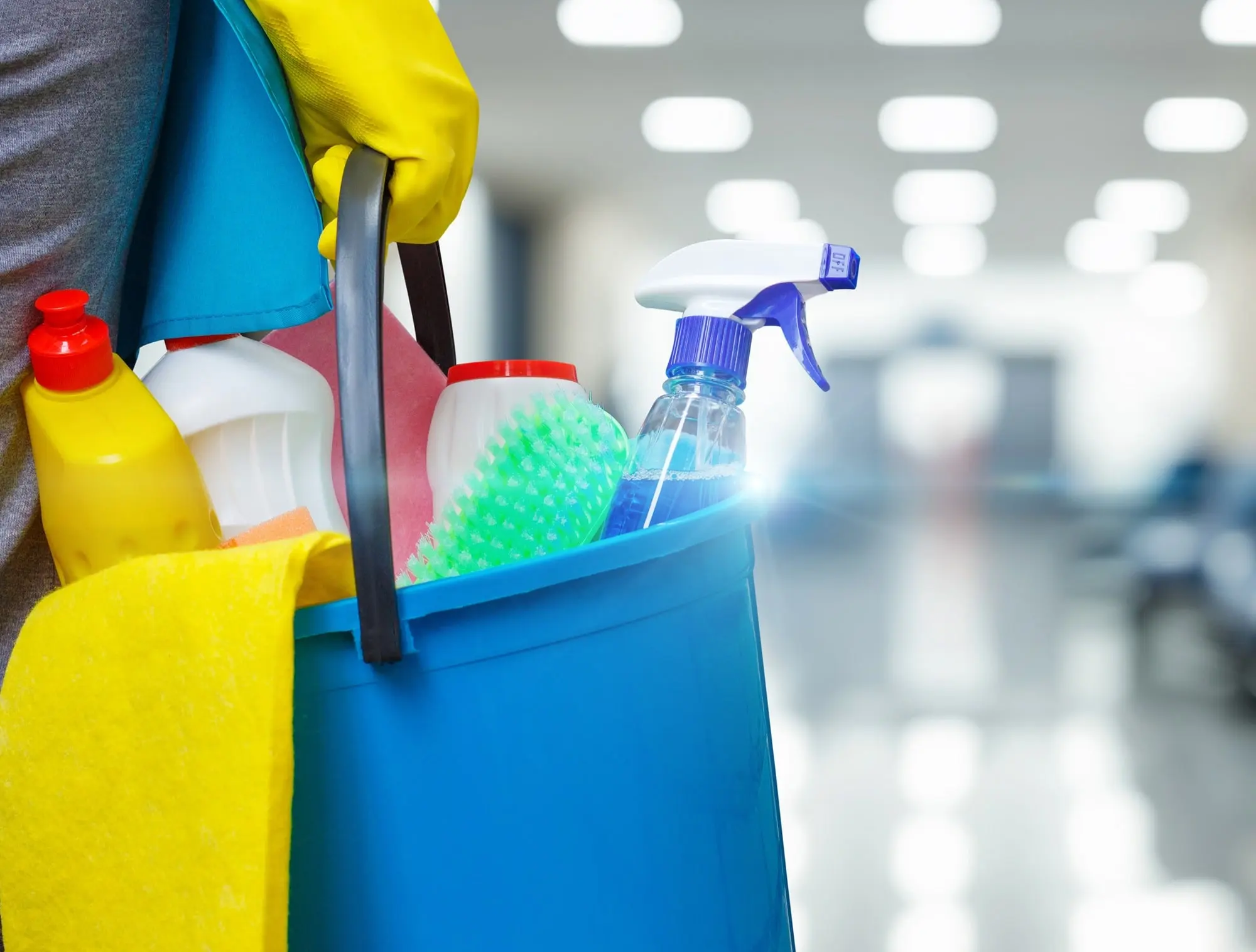 66d1b237781950cd5d89fc34 history of housecleaning and maid services