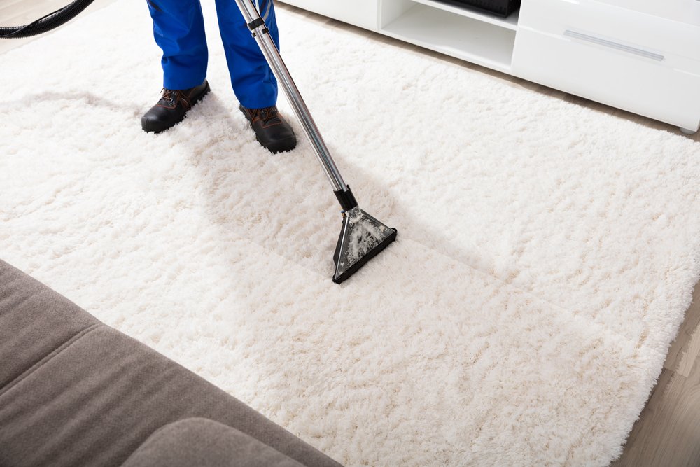 carpet cleaning service (1)