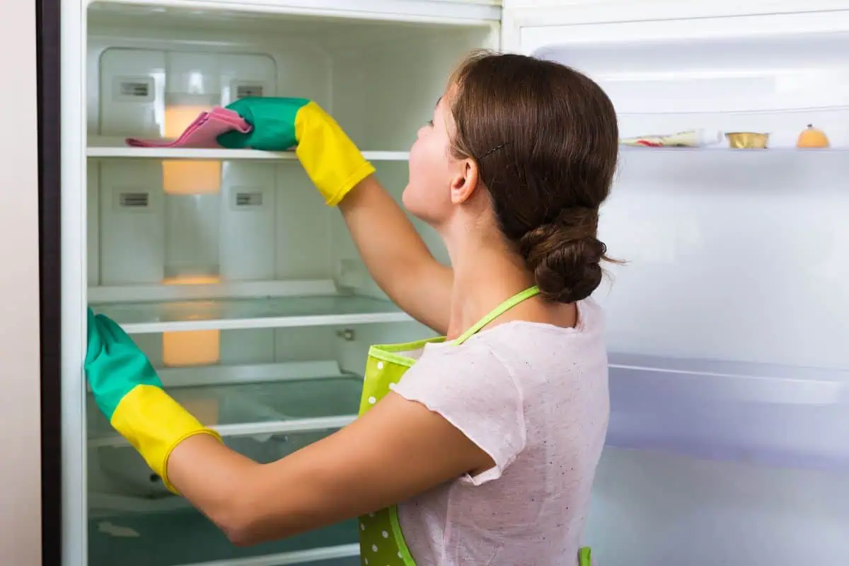 how to deep clean your appliances