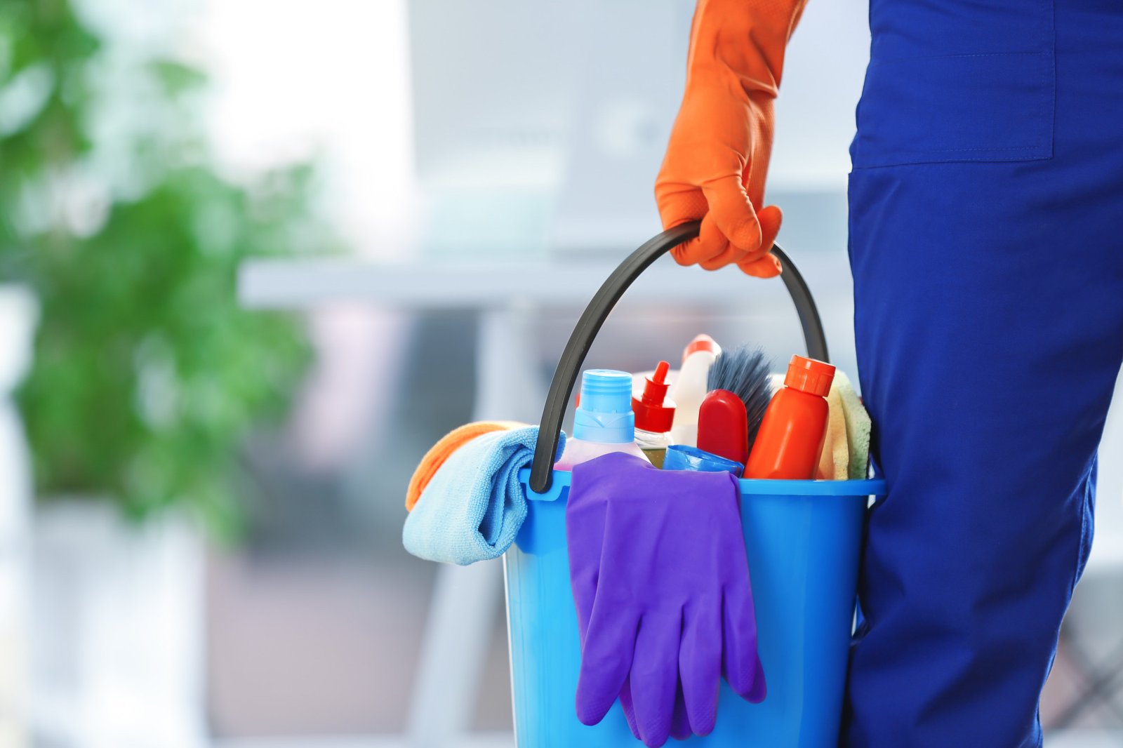 house cleaning service